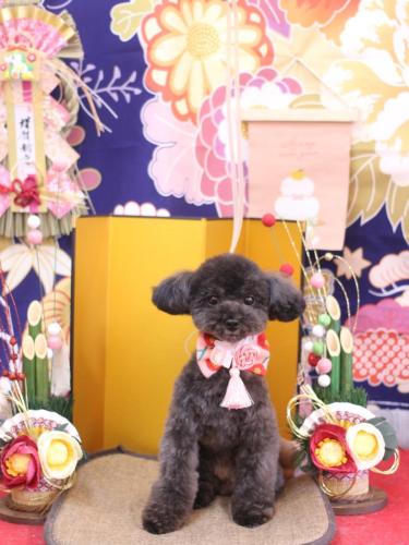 20240131ラテちゃん